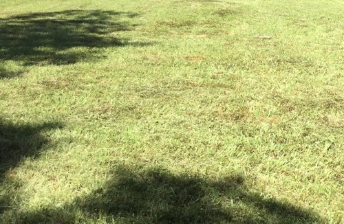 Downsville House | Your Home away from Home. Large Groups Welcome