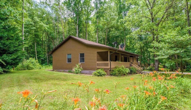 Pointer's point in Cullowhee