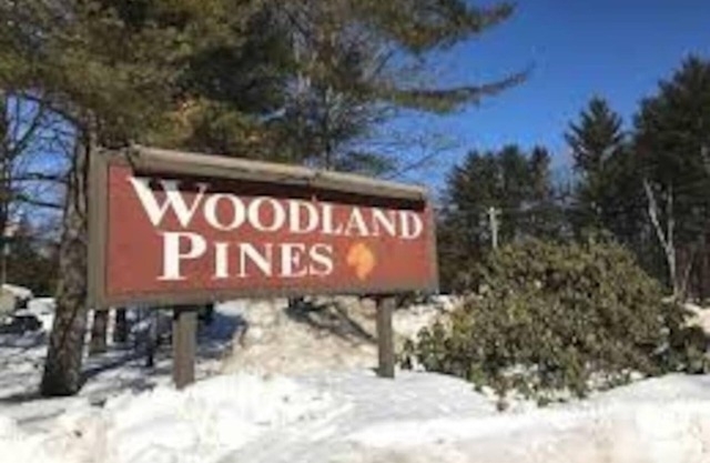 Brand New Woodland Pines Townhouse, NConway/Bartlett, 4 Bdr, Sleeps13+, 8+beds