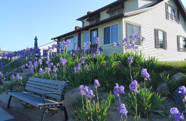 Cornfield Point Beachfront Cottage