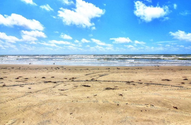 Costa Del Ray #1