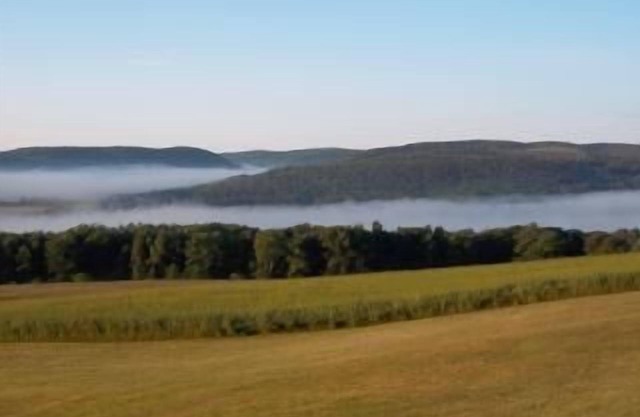 Enchanted Valley 