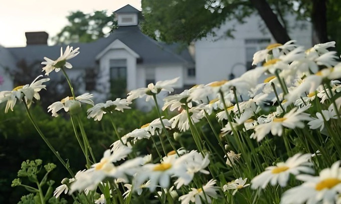Middlebury Bed & Breakfast | 33 m² Bed and breakfast ∙ 3 guests