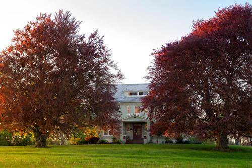 Town of Varick Bed & Breakfast | 65 m² Bed and breakfast ∙ 3 guests