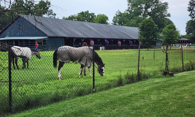 Saratoga Springs Other | Horse Haven Track Rental for Belmont