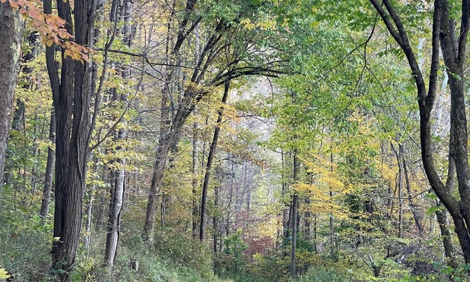 Webster Springs House | Peaceful and Spacious mountain retreat. Full of amenities. Off grid yet close.