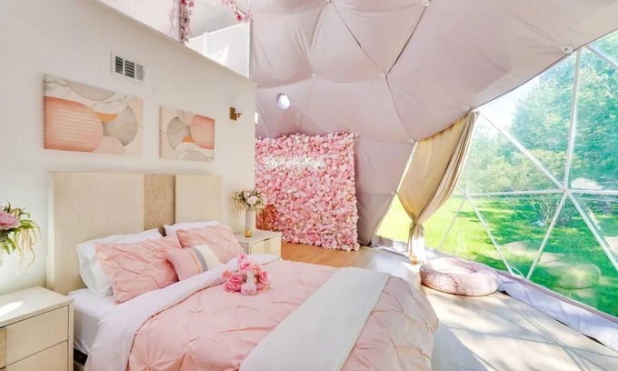 Monticello Cabin | Rosé All Day Geodome - Unique Escapes "Rosé All Day" Dog Friendly Geodome