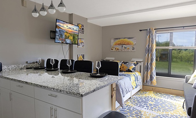 Snowshoe Condo | SC 2204 Completely Renovated Studio, Bright Winter Escape!