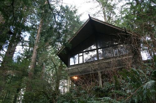 North Bend House | The Treehouse