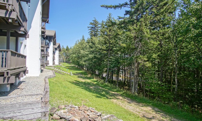Snowshoe Condo | Whistlepunk # 28: 2 Bedrooms, 2 Full Baths: Slope Side. Wood Fireplace. Central Location.