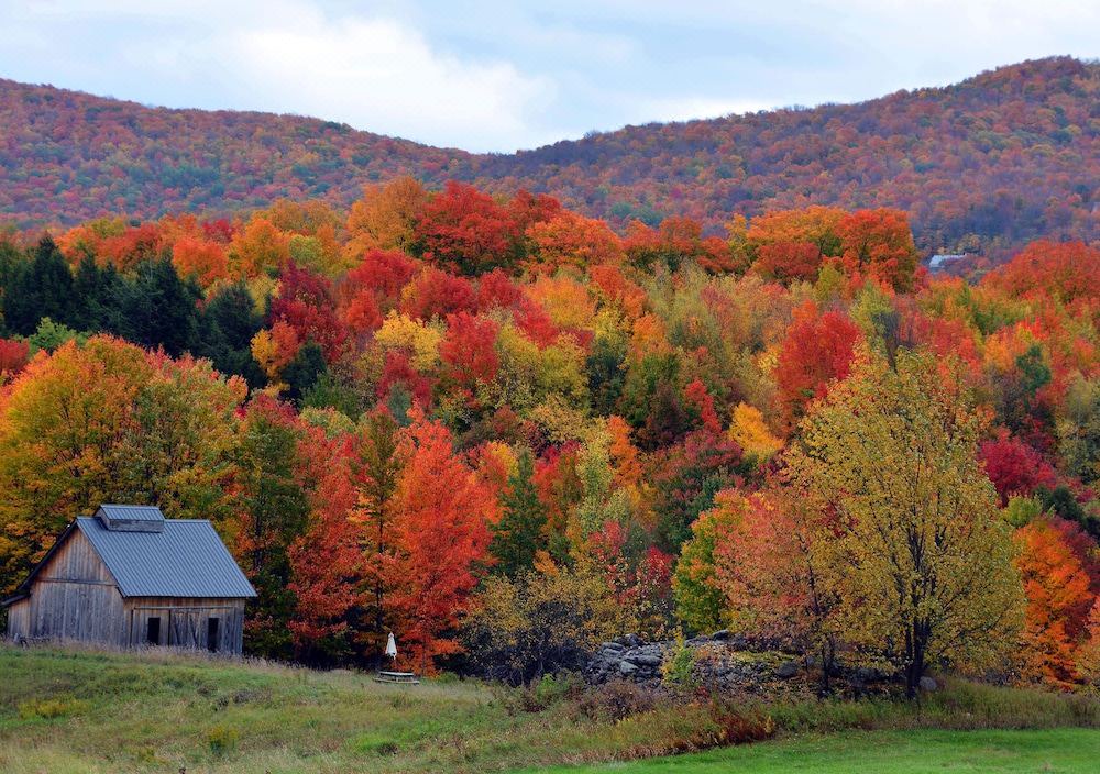 Photo of Others in Stowe Area