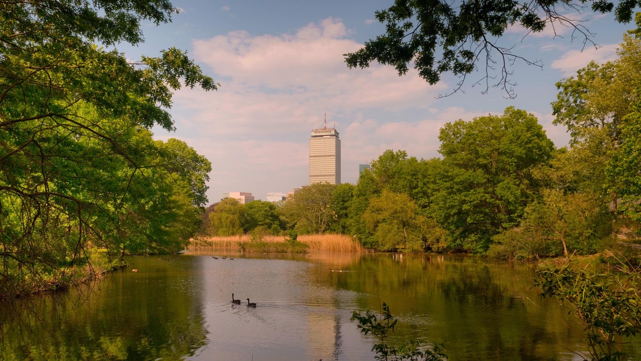 Photo of Outdoor in West Fens