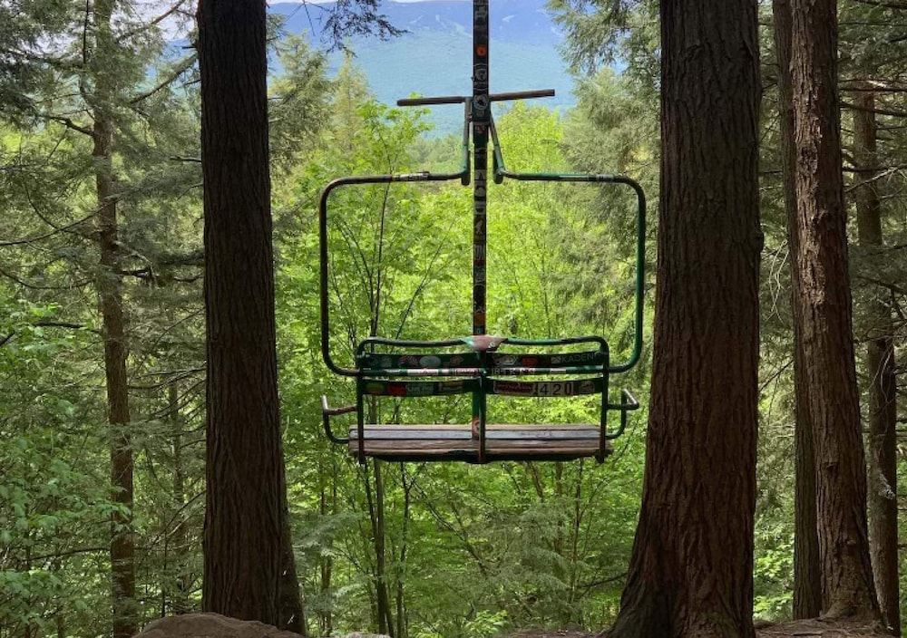Photo of Others in Stowe Area