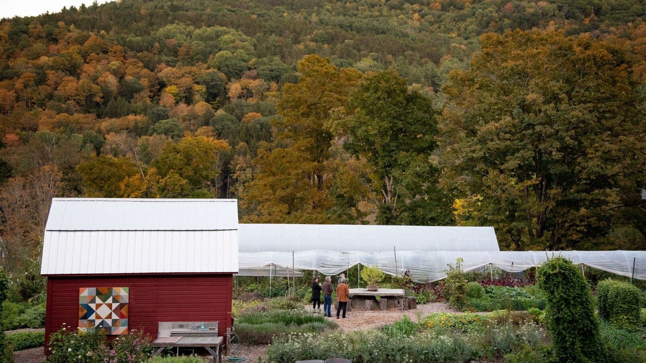 Photo of Others in Woodstock