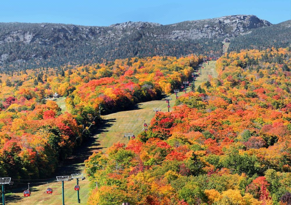Photo of Outdoor in Stowe Area