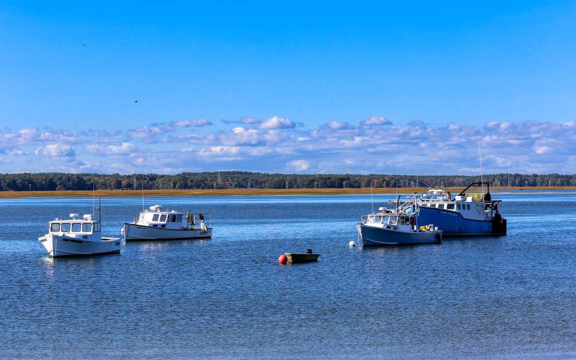 Photo of Others in Seabrook