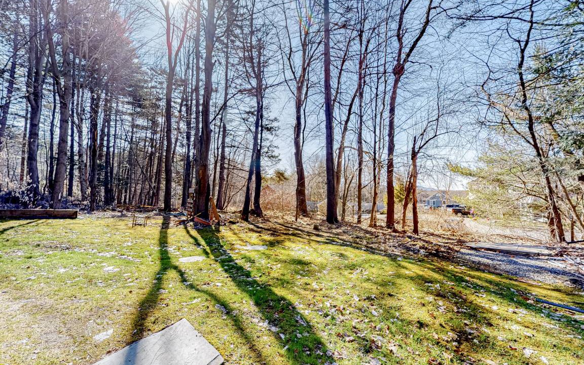 Photo of Others in Stowe Area