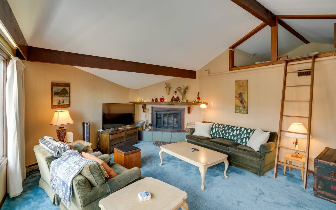 Photo of Livingroom in Bromley Mountain