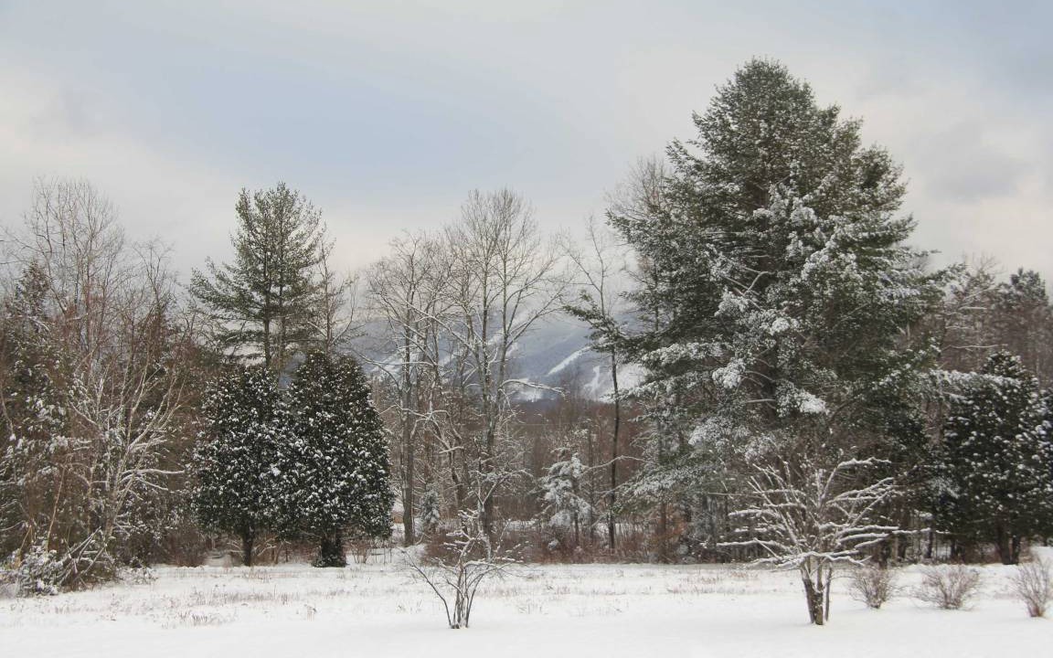 Photo of Others in Franconia