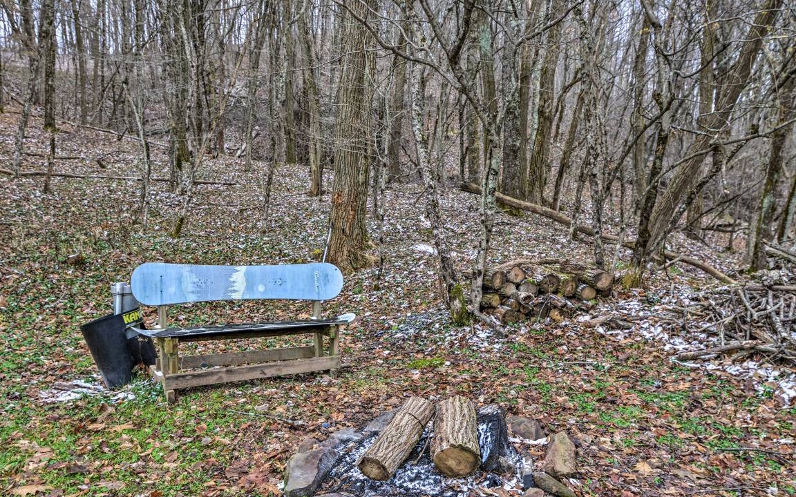 Photo of Others in Snowshoe