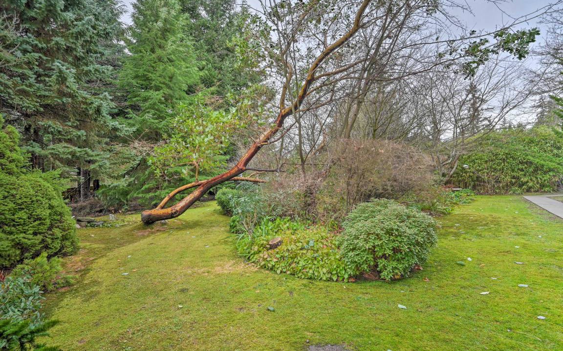 Photo of Others in Edmonds