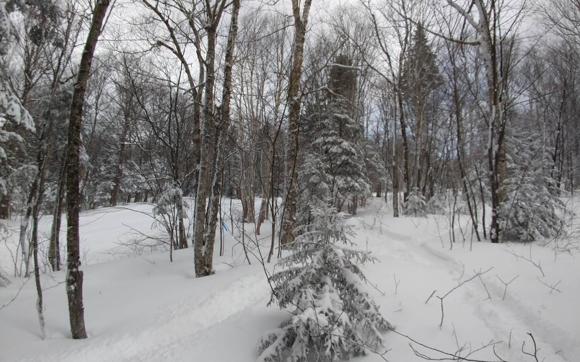 Photo of Others in Bolton Valley
