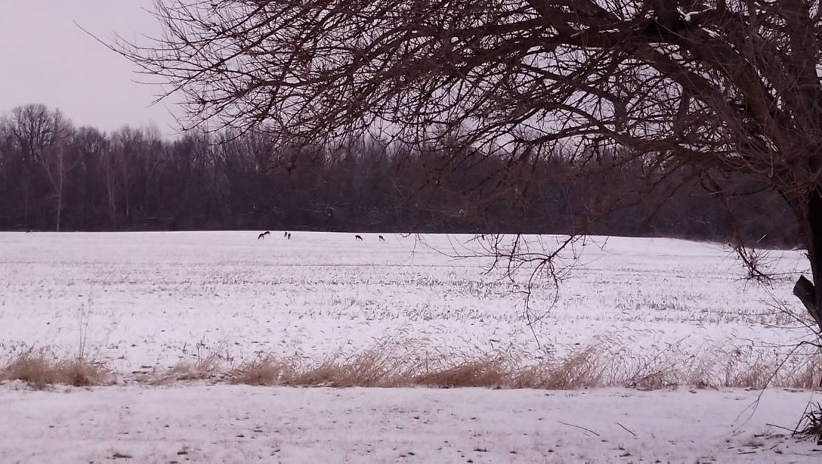 Photo of Others in Trotwood