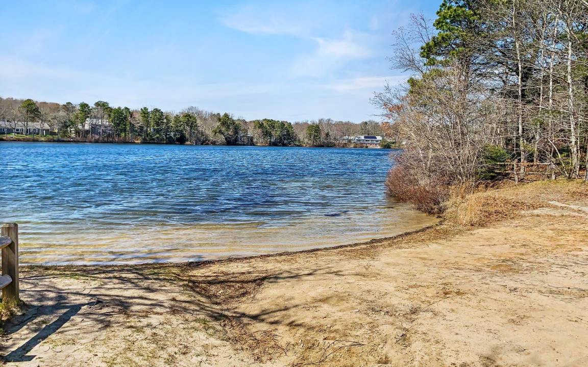 Photo of Others in South Yarmouth