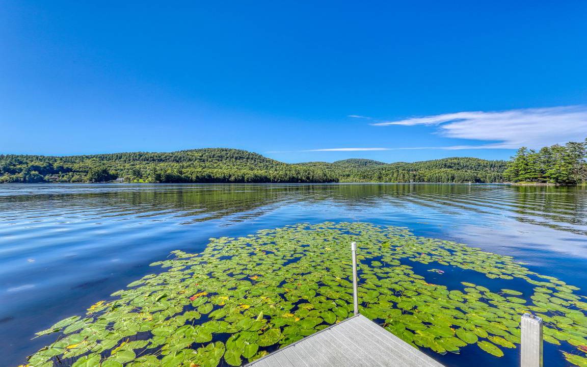 Photo of Others in Brant Lake