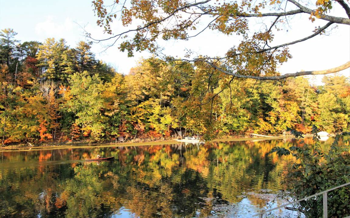 Photo of Others in Maryland