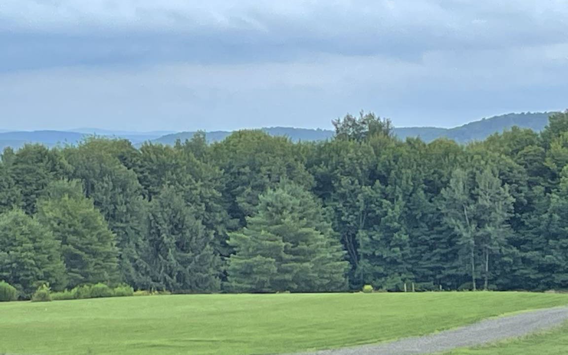 Photo of Others in Milford