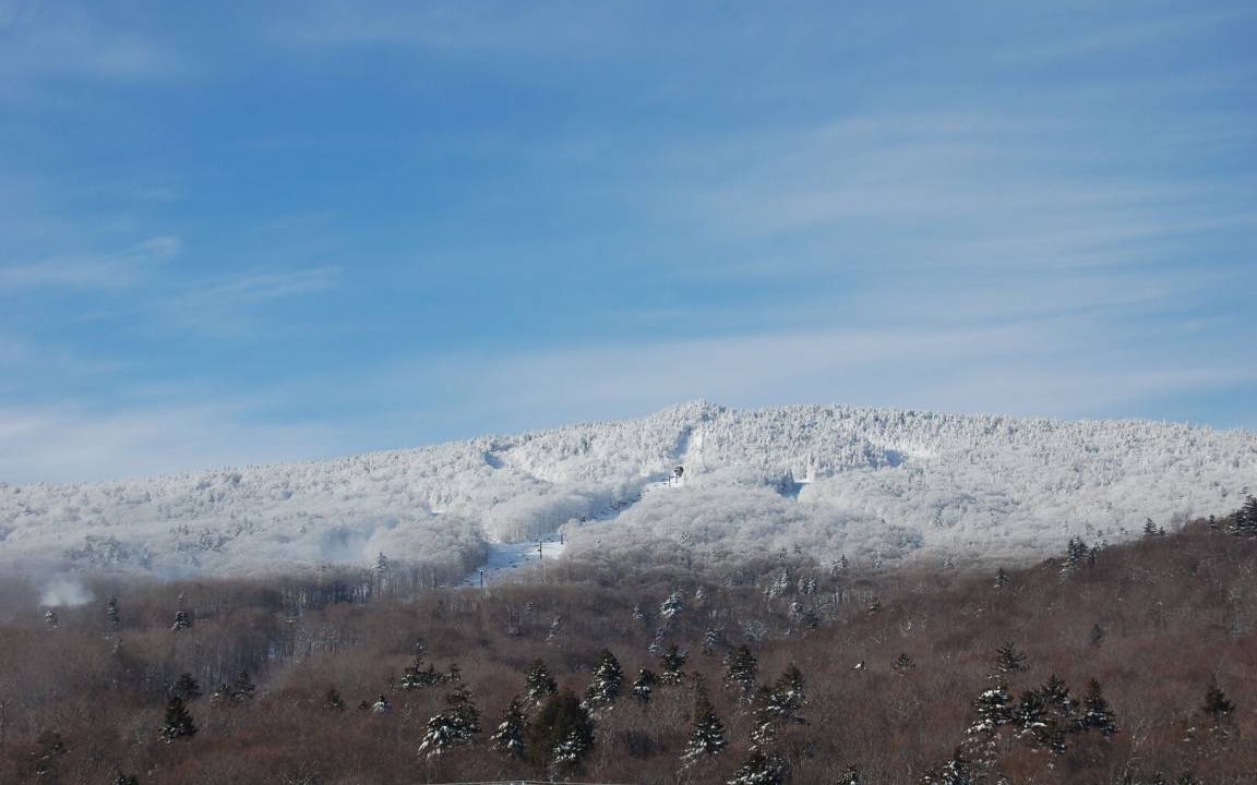 Photo of Others in Pittsfield