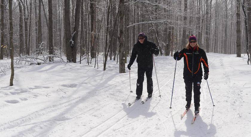 Photo of Others in Stratton Mountain