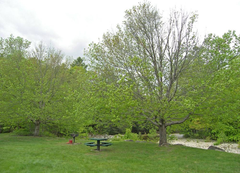 Photo of Others in North Woodstock