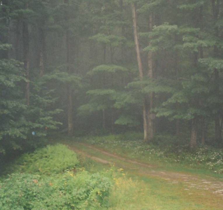 Photo of Others in East Haven  Rutland County