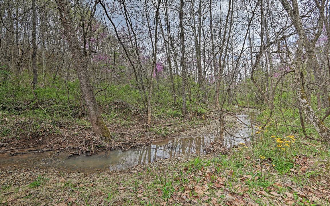Photo of Others in Bidwell