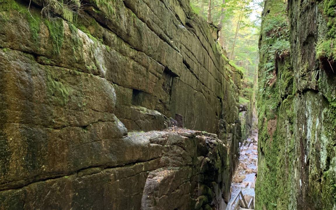 Photo of Others in Twin Mountain