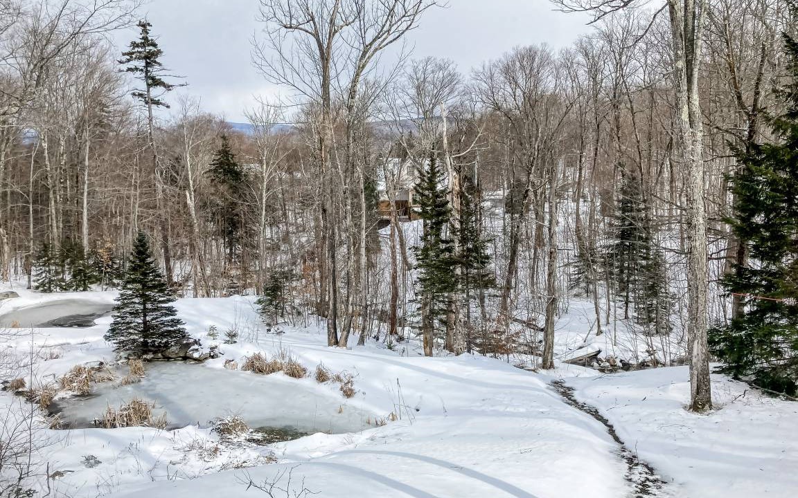 Photo of Others in Stratton Mountain