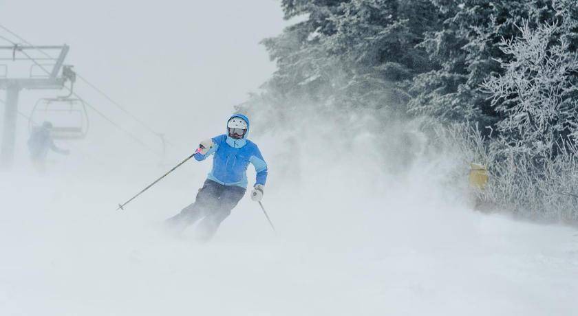 Photo of Others in Stratton Mountain