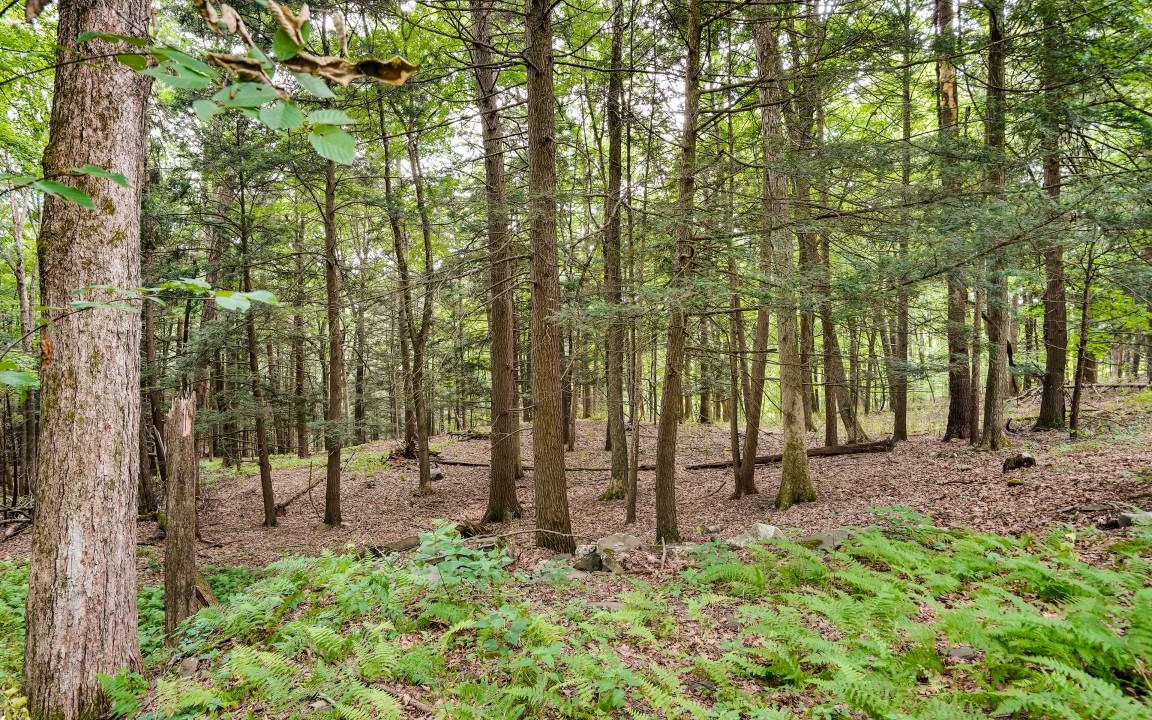 Photo of Others in Saugerties