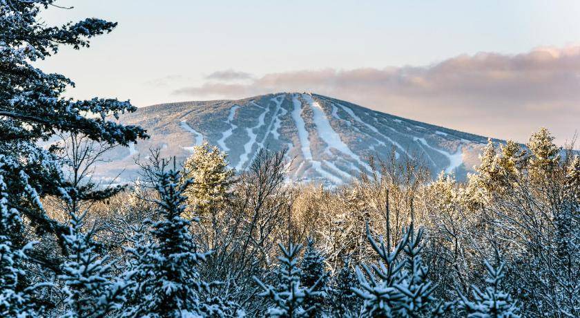 Photo of Others in Stratton Mountain
