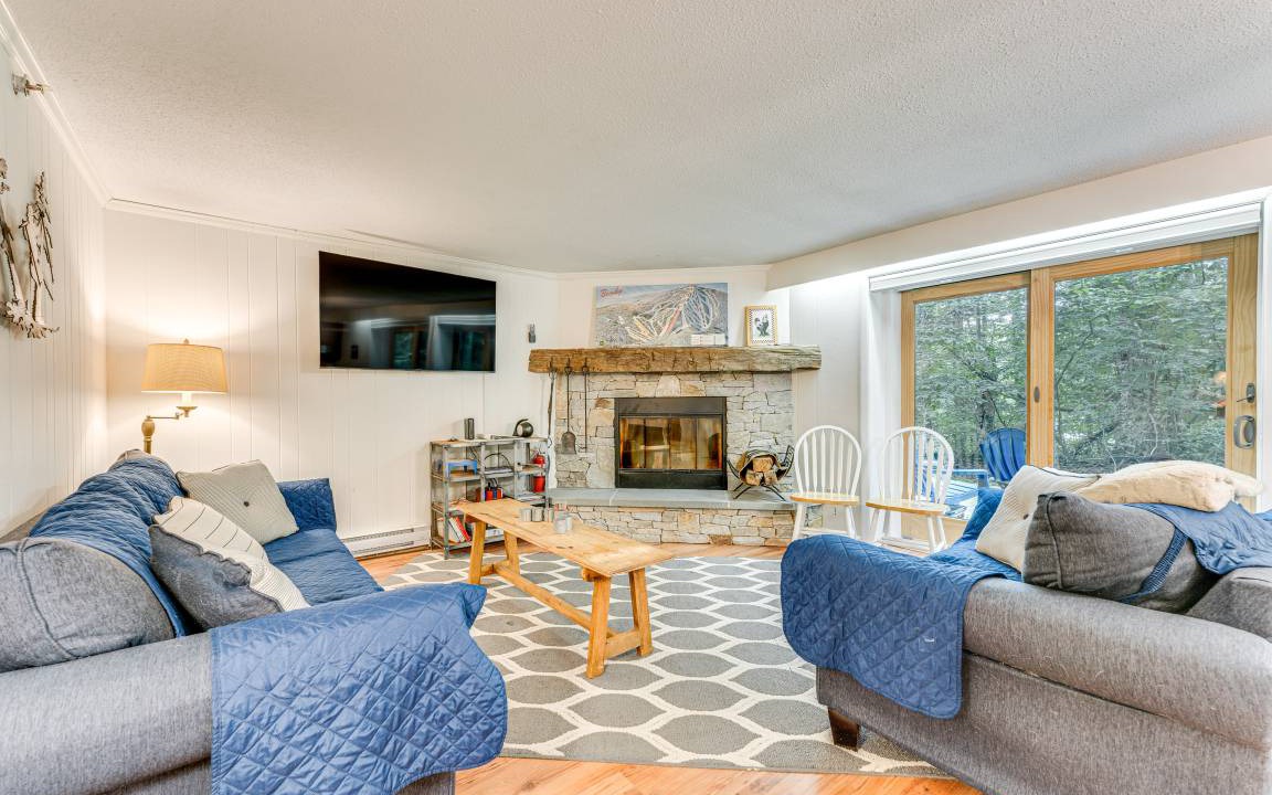 Photo of Livingroom in Bromley Mountain