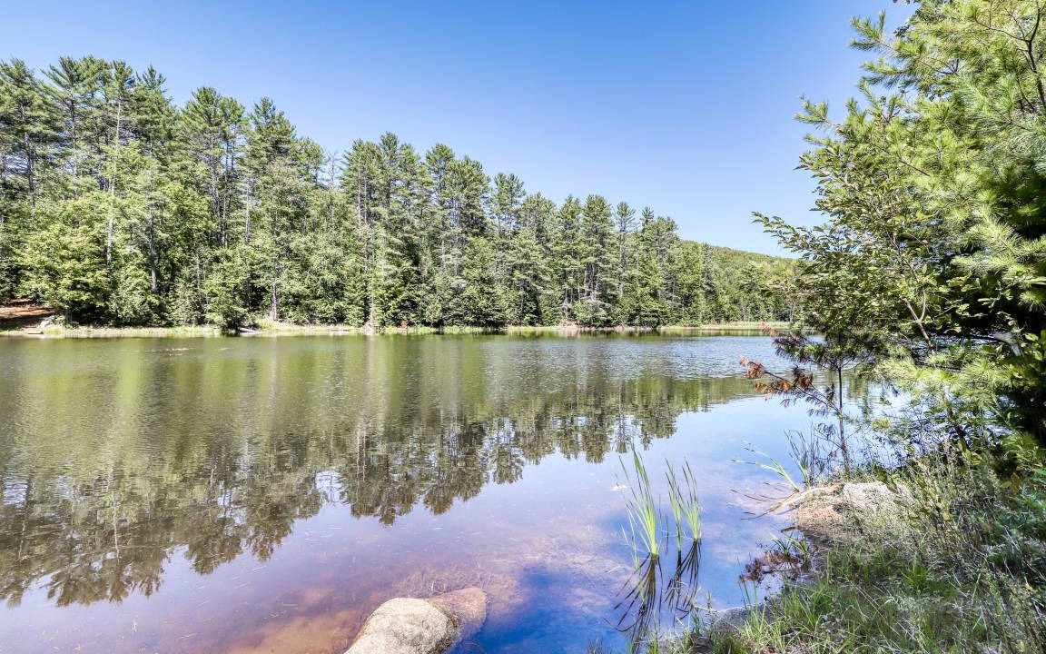 Photo of Others in Brant Lake