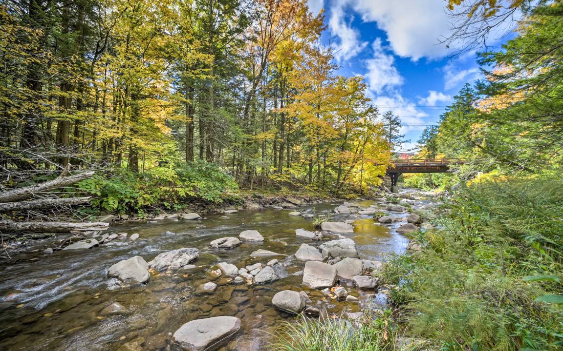 Photo of Outdoor in Tannersville