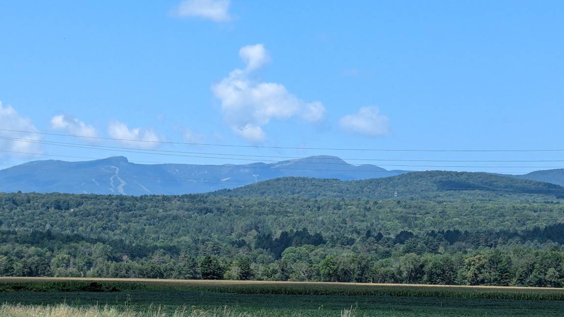 Photo of Others in Stowe