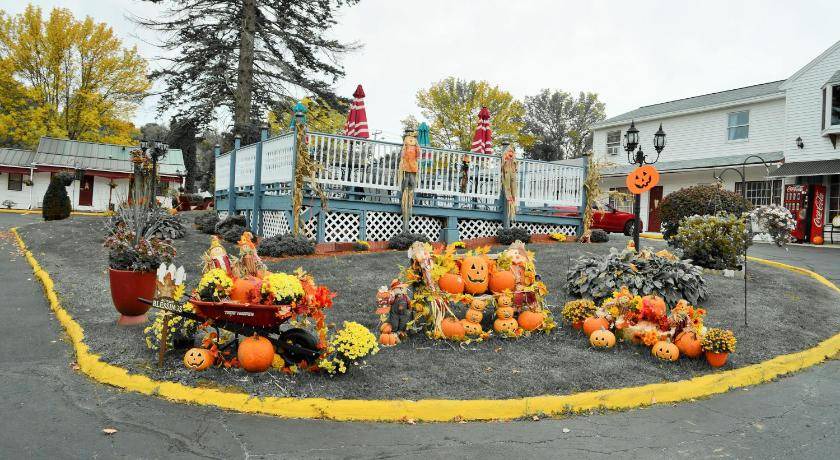 Photo of Others in Williamstown