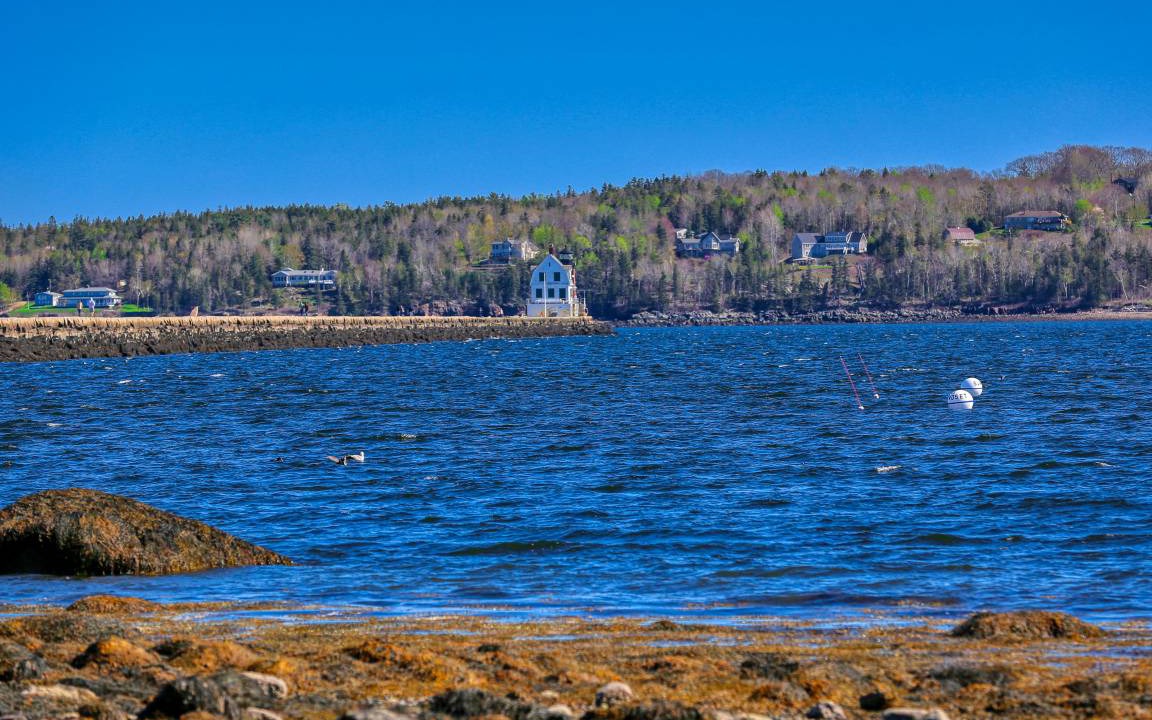 Photo of Others in Tenants Harbor
