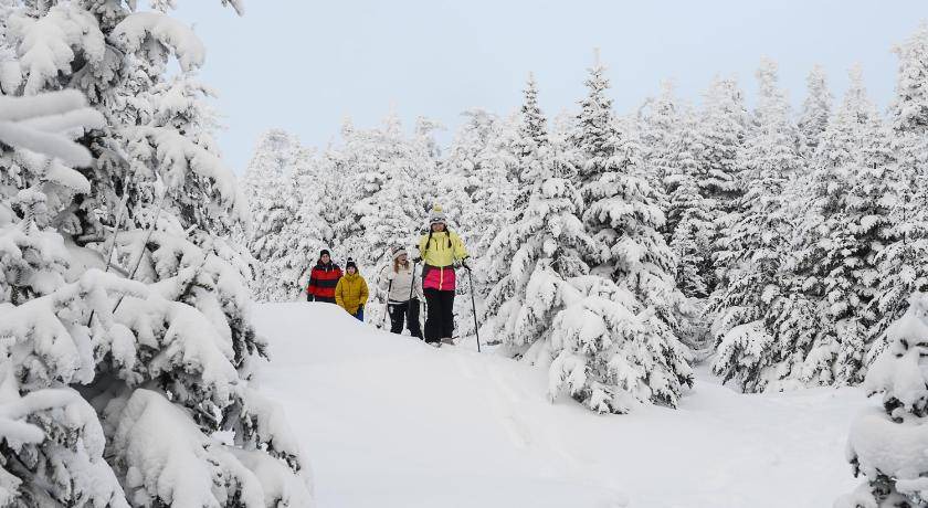 Photo of Others in Stratton Mountain
