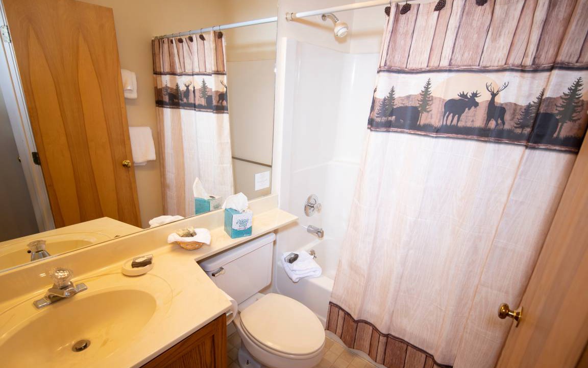 Photo of Bathroom in Ludlow
