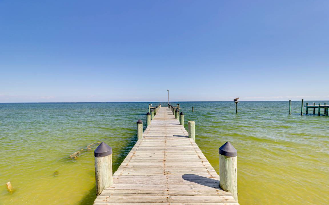 Photo of Others in Point Lookout